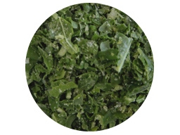 Mint Leaf IQF 1-3mm 10kg