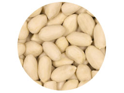 Peanut Blanched  25kg